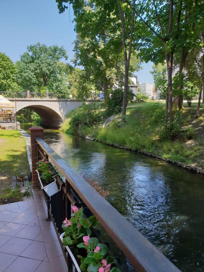 Kamienica Gorna 7 Daire Olsztyn  Dış mekan fotoğraf